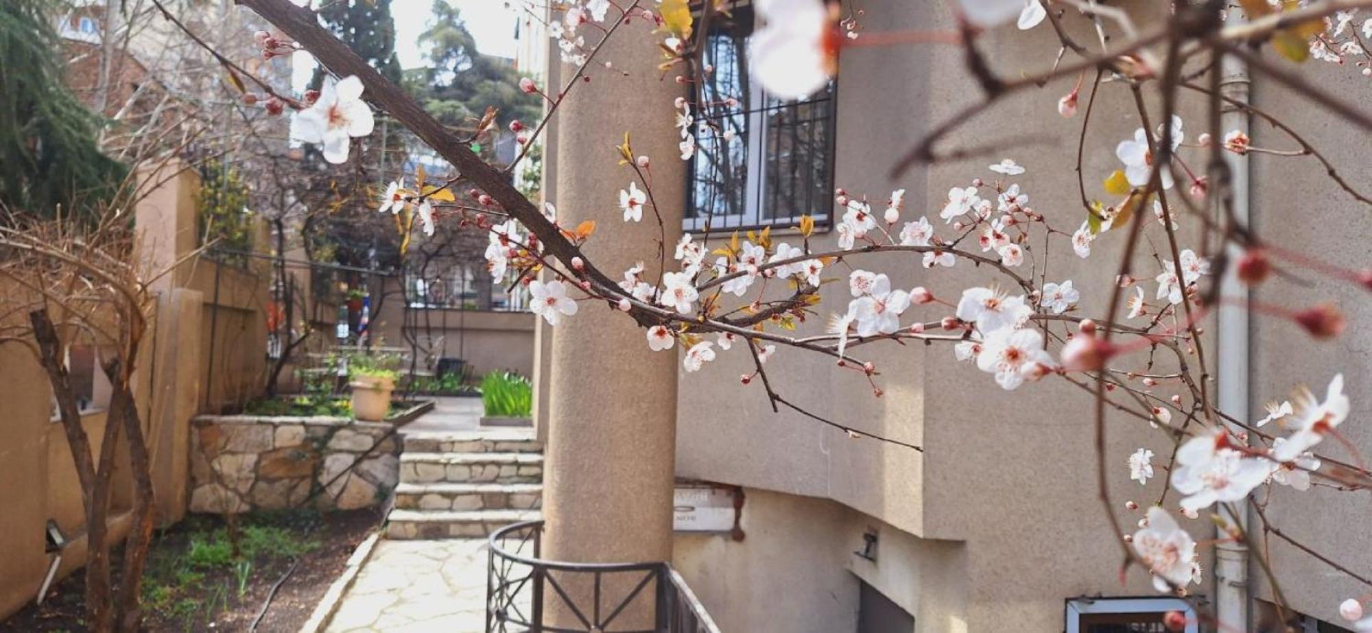 Iliani Hotel Τυφλίδα Εξωτερικό φωτογραφία